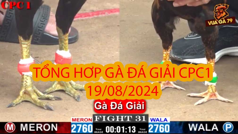 tổng hợp gà đá giải cpc1 19/08/2024