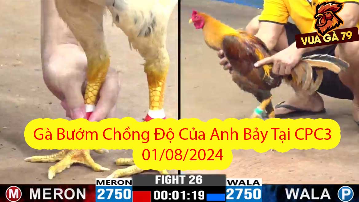Gà Bướm Chồng Độ Của Anh Bảy