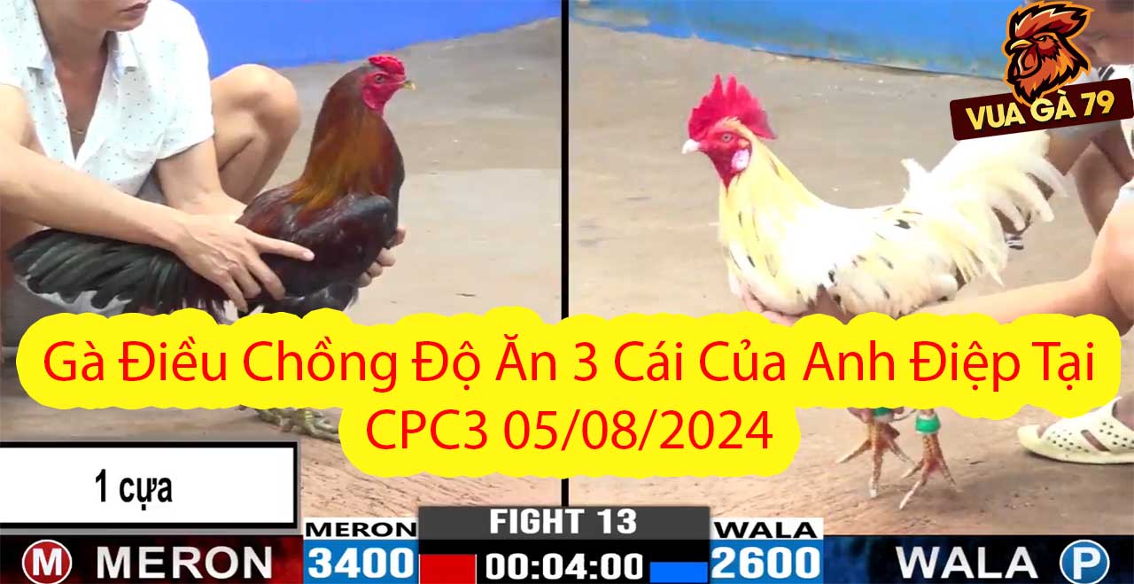 gà điều chồng ăn 3 độ của anh điệp
