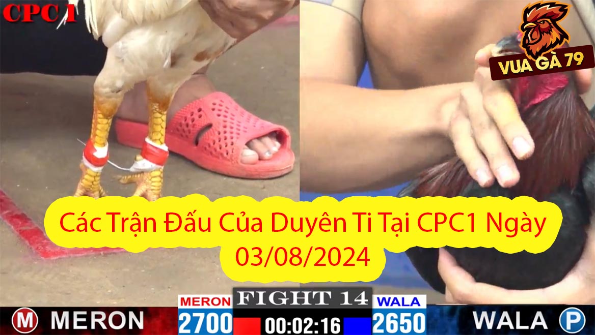 duyên ti