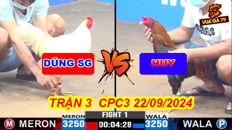 Trận 1 CPC3 22/09/2024 – Gà Anh Dũng SG Đá Gà A Huy Bỏ Chạy