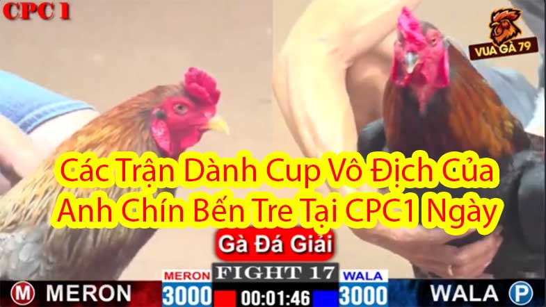 Các Trận Dành Cup Vô Địch Của Anh Chín Bến Tre Tại CPC1 Ngày 21/09/2024