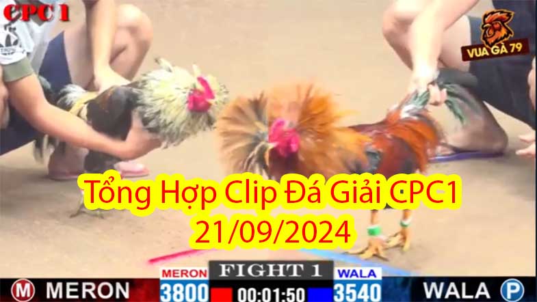 Tổng Hợp Clip Đá Giải CPC1 21/09/2024