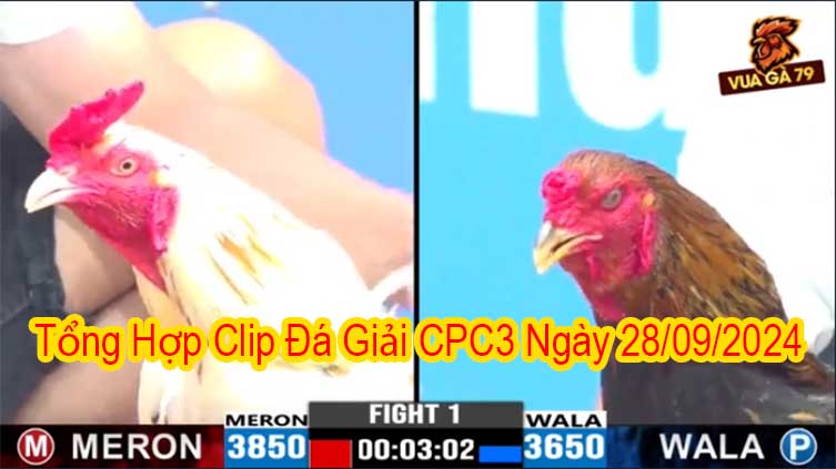 Tổng Hợp Clip Đá Giải CPC3 Ngày 28/09/2024