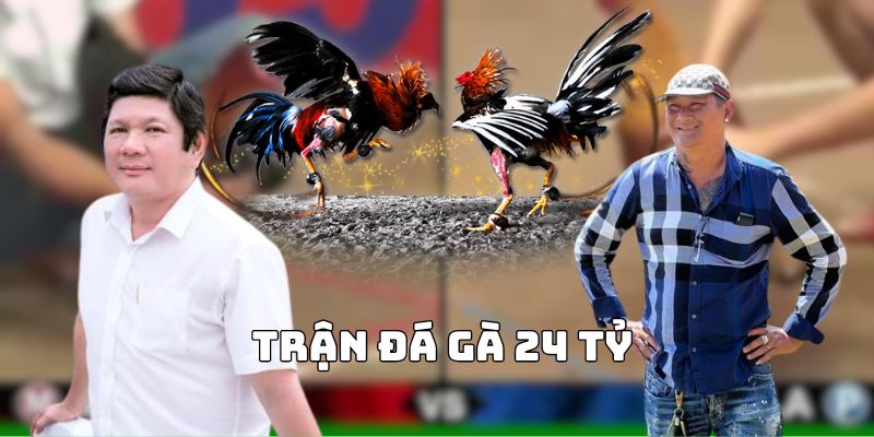 trận đá gà 24 tỷ