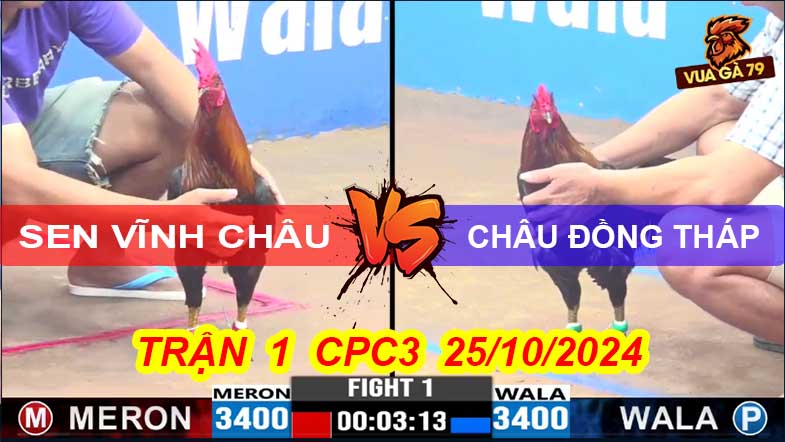 Trận 1 CPC3 25/10/2024 – Sen Vĩnh Châu -Châu Đồng Tháp