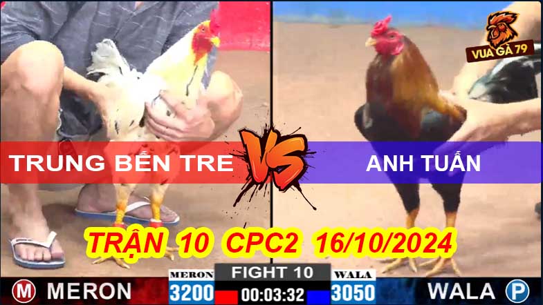 Trận 10 CPC2 16/10/2024 – Gà A Tuấn Đá 3 Chân Hạ Gà Anh Trung