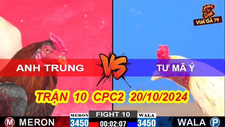 Trận 10 CPC2 Ngày 20/10/2024 – Tư Mã Ý Bị A Trúng Đá Khỏi Bồ