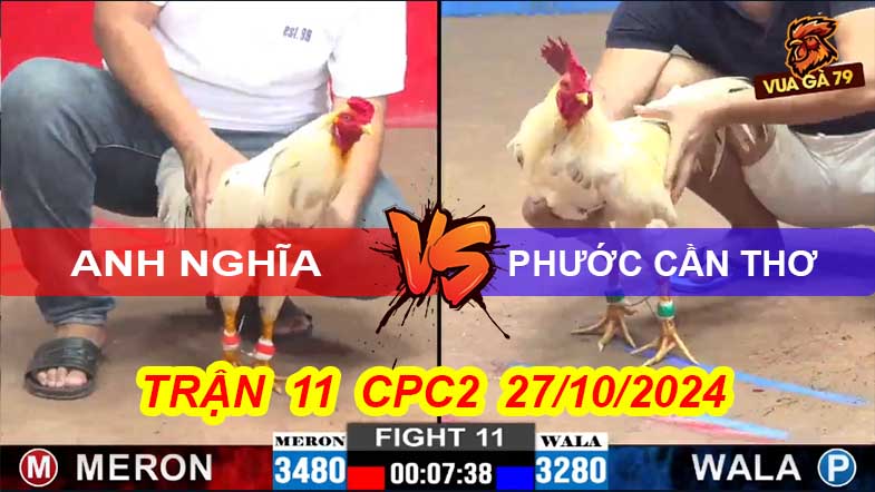 Trận 11 CPC2 27/10/2024 –Gà Phước Cần Thơ Chạy