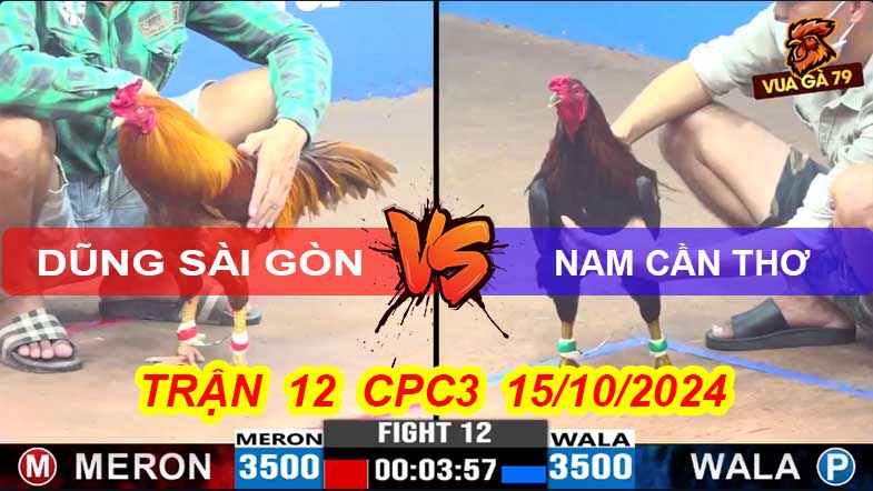 Trận 12 CPC3 15/10/2024 – Điều Xanh Phản Đòn Đâm Gục Đối Thủ
