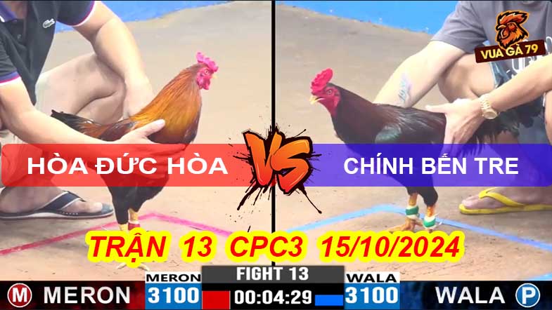Trận 13 CPC3 15/10/2024 – Gà Anh Chính Đá Hạ A Hòa ĐH