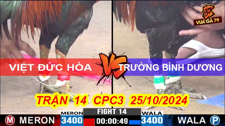 Trận 14 CPC3 25/10/2024 – Trường BD Hạ Việt ĐH