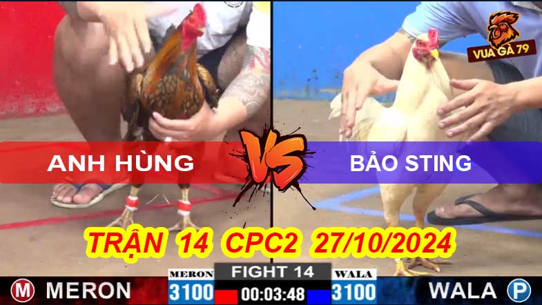 Trận 14 CPC2 27/10/2024 –Bướm Bảo Sting Đá Ác