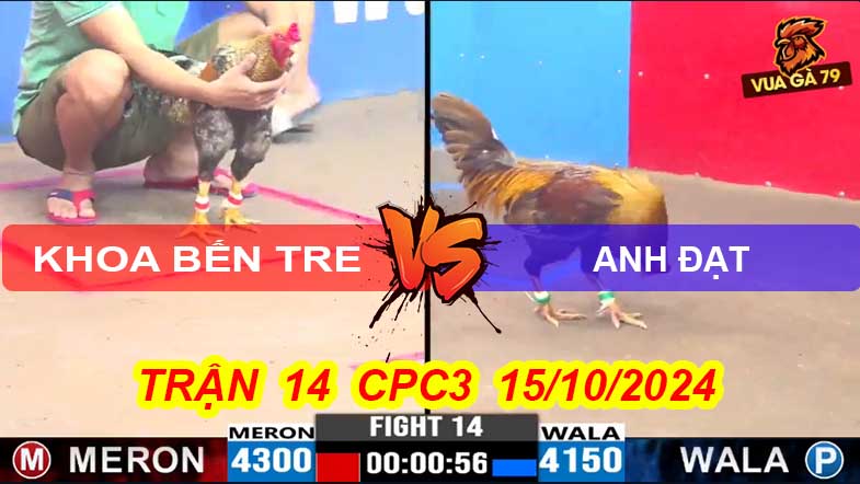 Trận 15 CPC3 15/10/2024 – Gà Má Minh Bị Đâm Ói Máu Chết