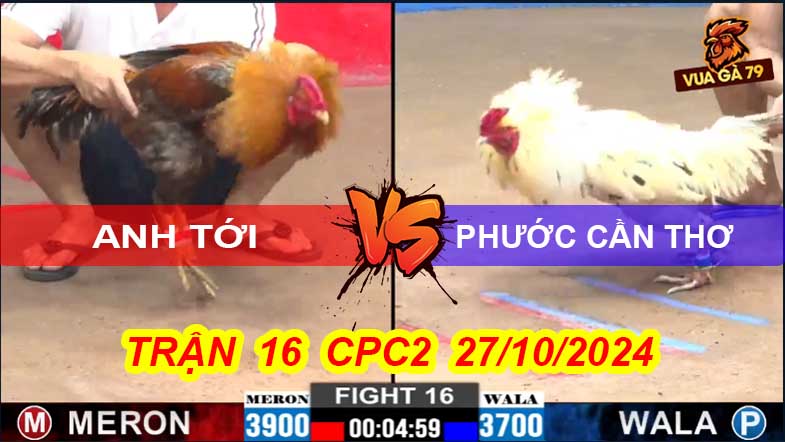 Trận 16 CPC2 27/10/2024 –Gà Phước Cần Thơ Chạy Tiếp