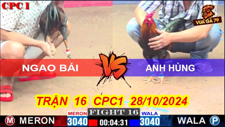 Trận 16 CPC1 28/10/2024 – Ngao Bái Hòa Anh Hùng