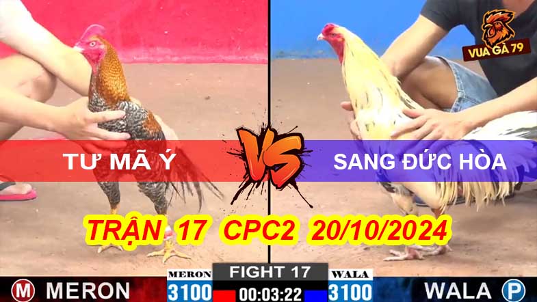 Trận 17 CPC2 Ngày 20/10/2024 – Gà Cú Bị Gà Bướm Đá Chạy