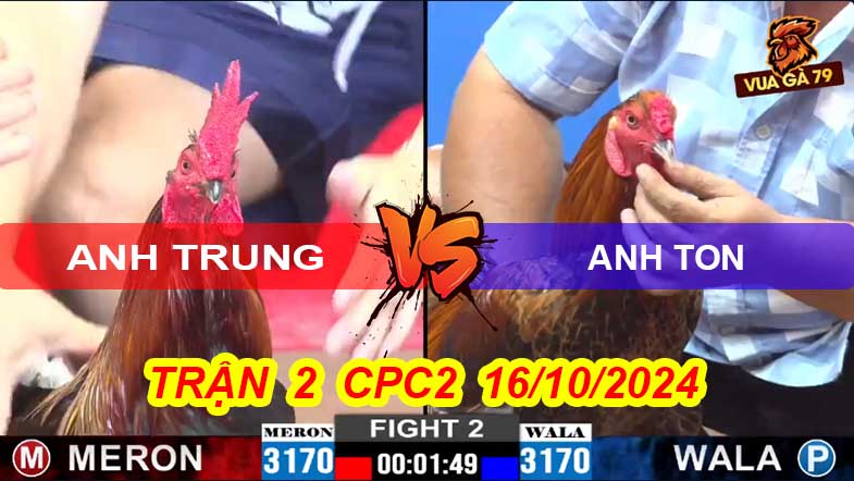 Trận 2 CPC2 16/10/2024 – Gà Que Anh Trung Đâm Gục Đối Thủ