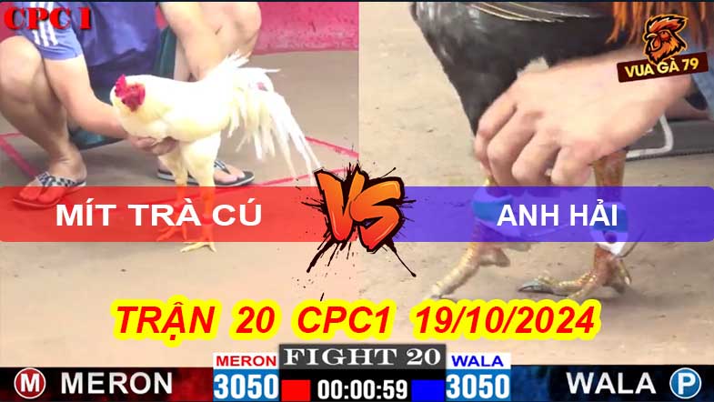 Trận 20 CPC1 Ngày 19/10/2024 – Gà Anh Mít Trà Cú Bị Đâm Té