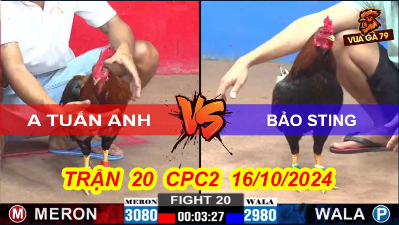 Trận 20 CPC2 16/10/2024 –Bảo Sting Đè Bạc 6 Bị A Tuấn Anh Hạ