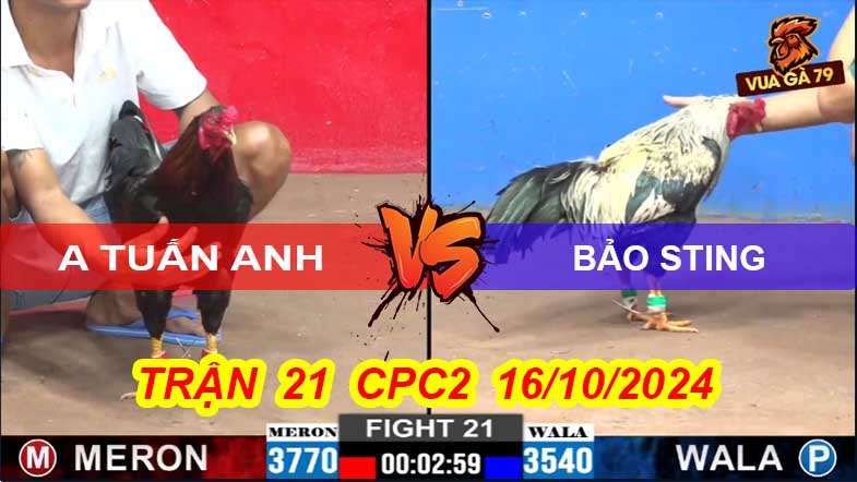 Trận 21 CPC2 16/10/2024 – Bảo Sting Lại Bị A Tuấn Anh Hạ