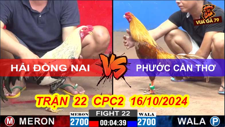Trận 22 CPC2 16/10/2024 – Điều Đá Tốc Độ Chuối Dẫy Chết