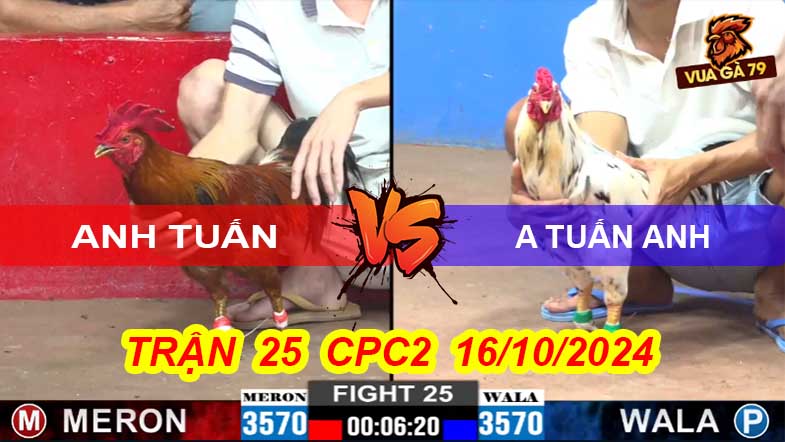 Trận 25 CPC2 16/10/2024 – Bướm Đâm Lút Cựa Lưng Hạ Đối Thủ