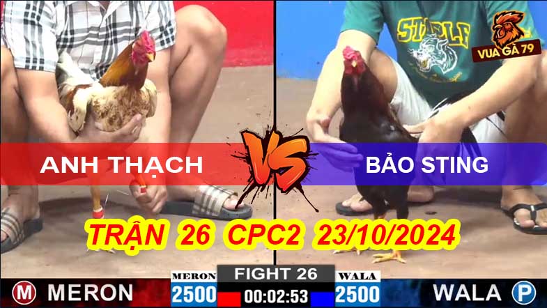 Trận 26 CPC2 23/10/2024 – Gà Cọp A Thach Hạ Bảo Sting