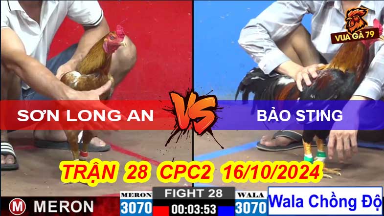 Trận 28 CPC2 16/10/2024 – Điều Bông Mẻ Bảo Sting Chồng Độ