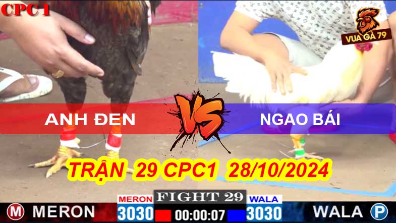 Trận 29 Giải CPC1 28/10/2024 – Ngao Bái Hạ Anh Đen