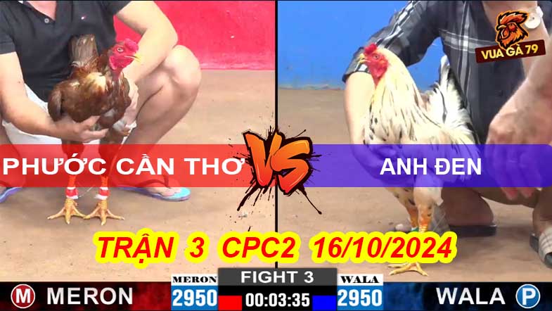 Trận 3 CPC2 16/10/2024 – Gà Phước Cần Thơ Bị Đá Bỏ Chạy