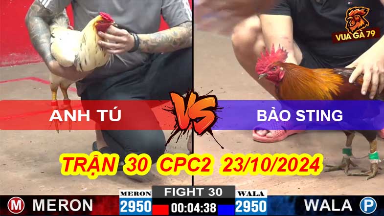 Trận 30 CPC2 23/10/2024 – Bảo Sting Bị A Tú Hạ