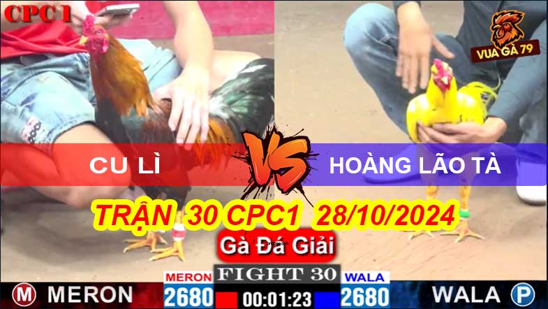 Trận 30 Giải CPC1 28/10/2024 – Gà Vàng Anh Hoàng Lão Dành 3 Điểm