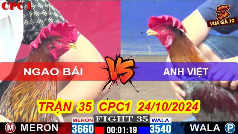 Trận 35 CPC1 24/10/2024 –Gà Ngao Bái Đâm Gà Xanh Chạy