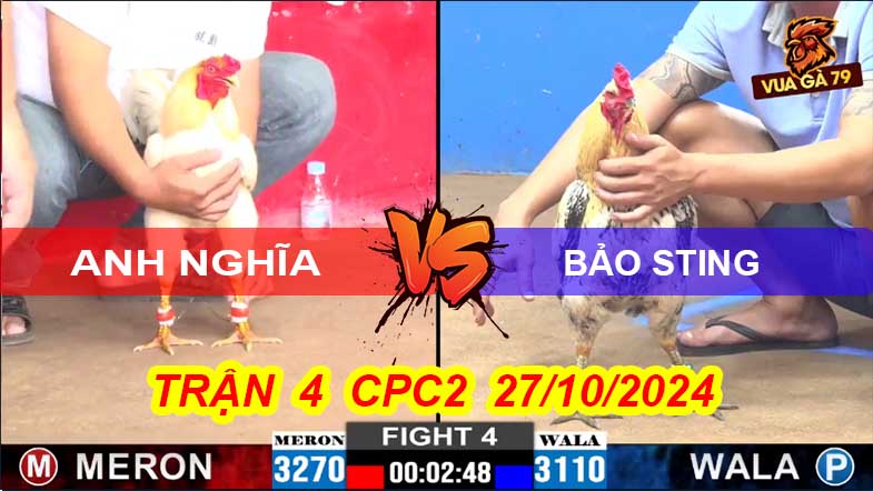 Trận 4 CPC2 27/10/2024 –Gà Chuối Đá 3 Chân Lụm Lúa