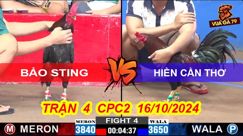 Trận 4 CPC2 16/10/2024 – Anh Hiền CT Đá Hạ Idol Bảo Sting
