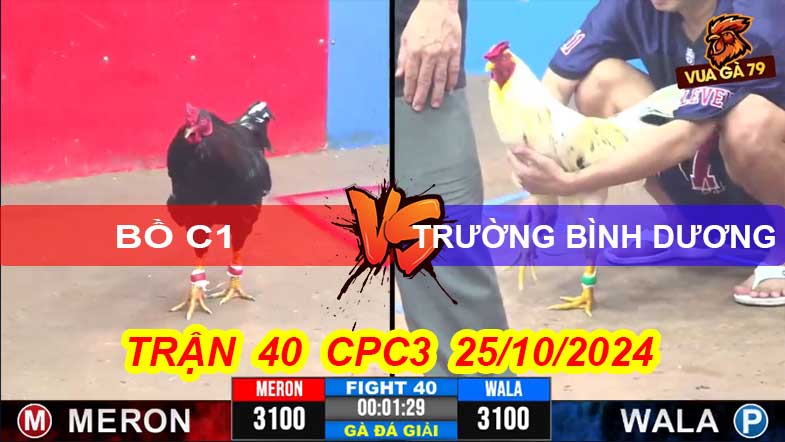 Trận 40 Giải CPC3 25/10/2024 – Bồ C1 Hạ Đối Thủ
