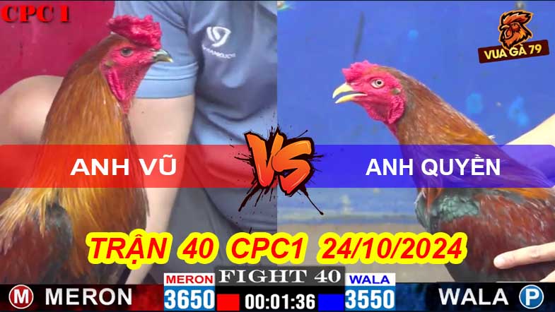 Trận 40 CPC1 24/10/2024 –Gà A Vũ Bị Ha Sau 3 Chân