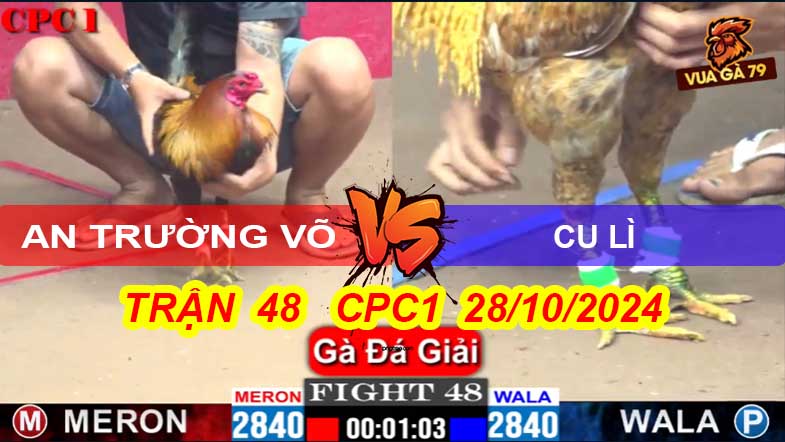 Trận 48 Giải CPC1 28/10/2024 – An Trường Võ - Cu Lì Chia Điểm