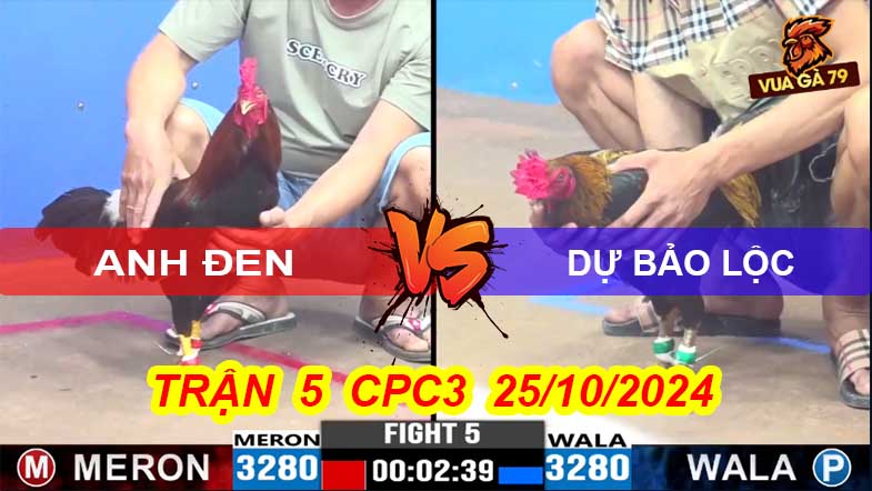 Trận 5 CPC3 25/10/2024 – Dự Bảo Lộc Đối Đầu A Đen