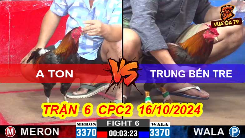 Trận 6 CPC2 16/10/2024 – Gà Anh Ton Dí Bạc Đối Thủ Bị Hạ