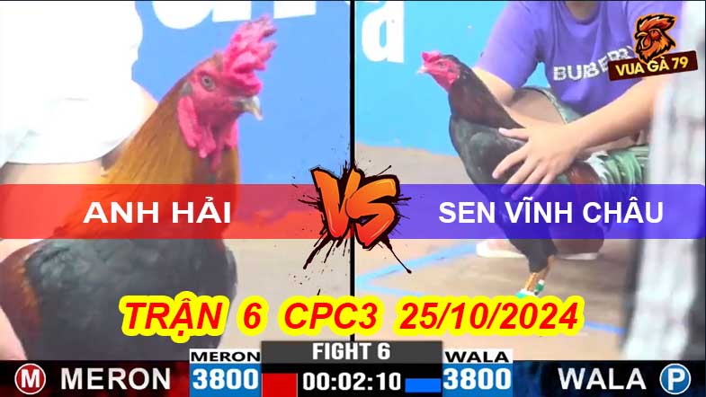 Trận 6 CPC3 25/10/2024 –A Hải - Sen Vĩnh Châu