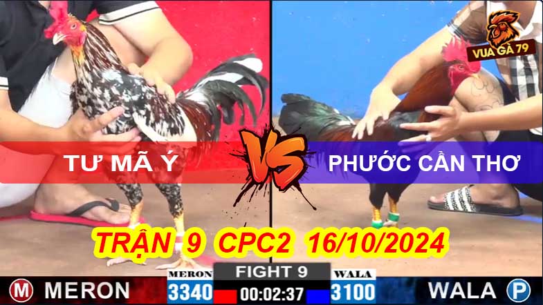 Trận 9 CPC2 16/10/2024 – Phước CT Chấp 2 Chấm Lụm Tư Mã Ý