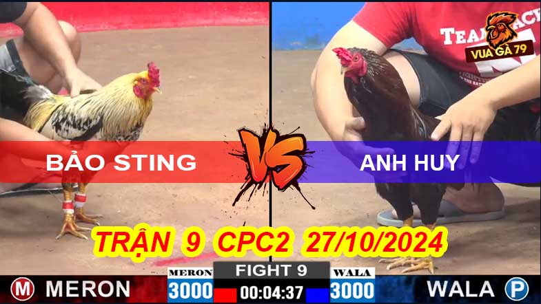 Trận 9 CPC2 27/10/2024 –Anh Huy Hạ Bảo Sting