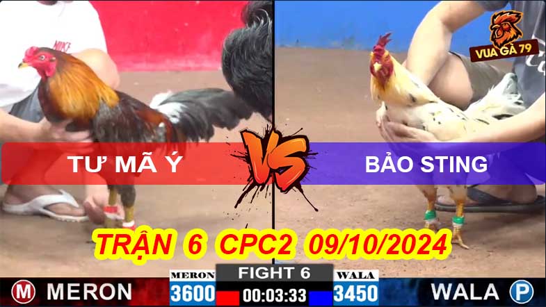 Trận 6 CPC2 09/10/2024 – Tư Mã Ý - Bảo Sting Lại Gặp Nhau