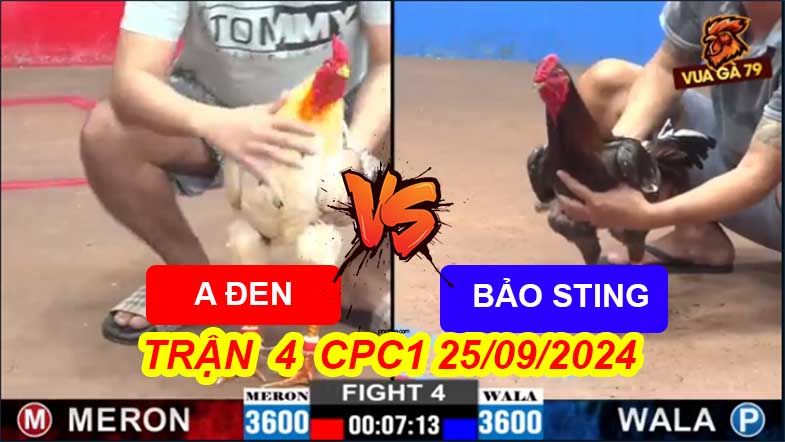 Trận 4 CPC2 25/09/2024 – Bảo Sting Bị A Đen Đè Bạc