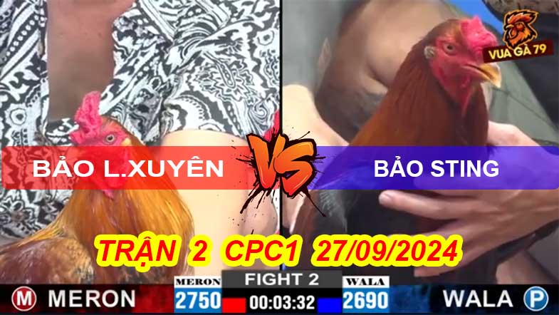 Trận 2 CPC2 27/09/2024 – Gà Anh Bảo Sting Như Máy Chà