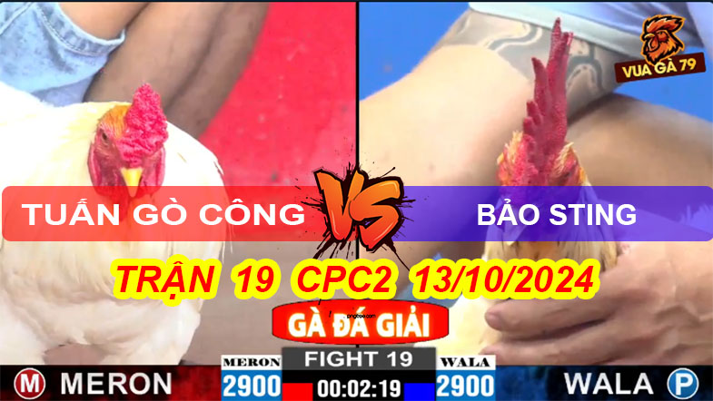 Trận 19 Giải CPC2 13/10/2024 – Bảo Sting Thả Bướm Dành 3 Điểm