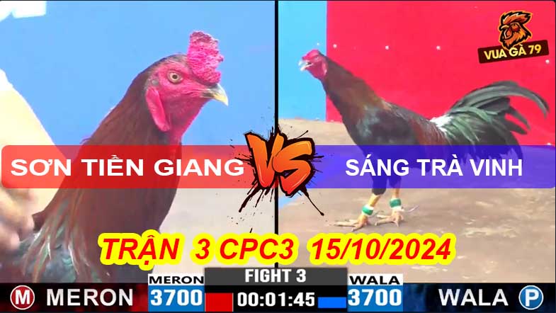 Trận 3 CPC3 15/10/2024 – Gà Anh Sơn Hủy Diệt Gà Anh Sáng