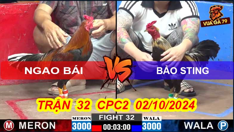 Trận 32 CPC2 02/10/2024 – Gà Chuối Của Bảo Sting Bị Hạ